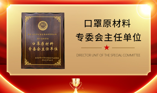 DIRECTOR UNIT OF MASK MATERIALS