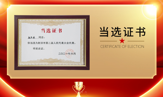 CERTIFICATE OF ELECTION