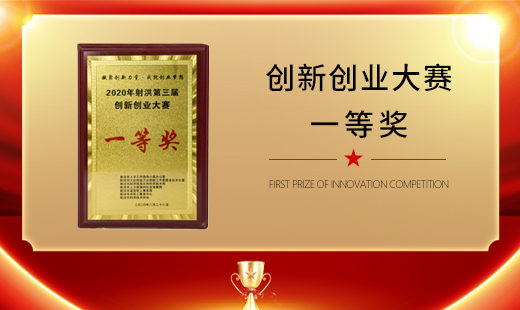 THE FIRST PRIZE OF INNOVATION COPETITION